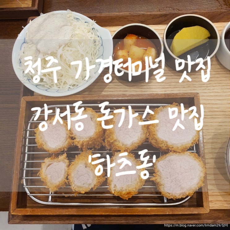 청주 가경터미널 맛집 강서동 돈까스 맛집 히레카츠가 맛있는 '하츠동'