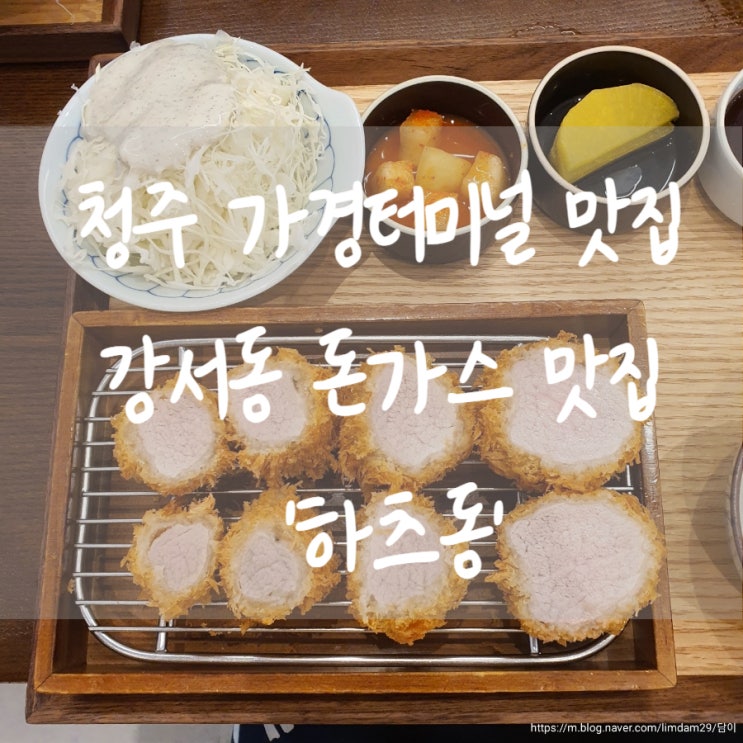  청주 가경터미널 맛집 강서동 돈까스 맛집 히레카츠가 맛있는 '하츠동'