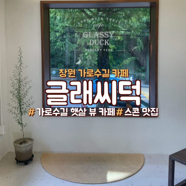  창원 가로수길 카페에 스콘,햇살뷰 맛집 <글래씨덕>