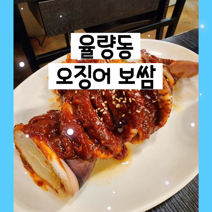  청주 율량동 맛집 대학로오징어보쌈율량점 맛집 추천하는 곳