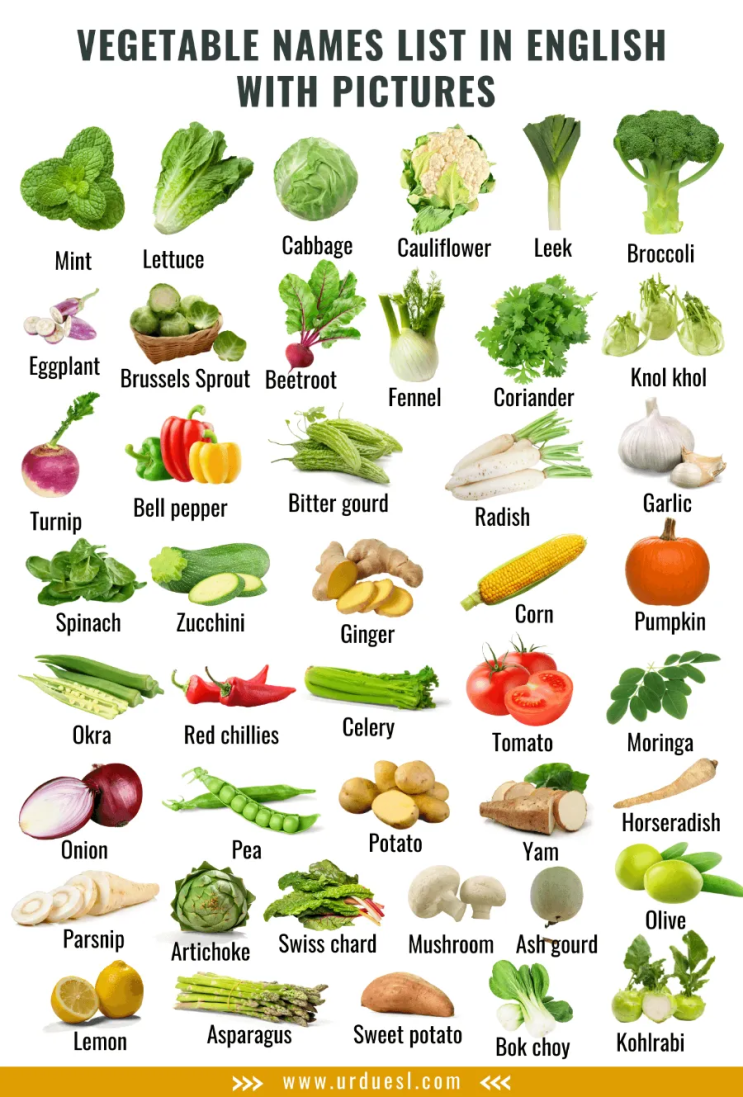  채소 영어로, 야채 채소 영단어 _ Vegetable voca