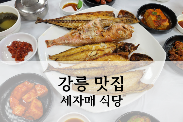 강릉 맛집 주문진 영진해변 세자매 식당 후기