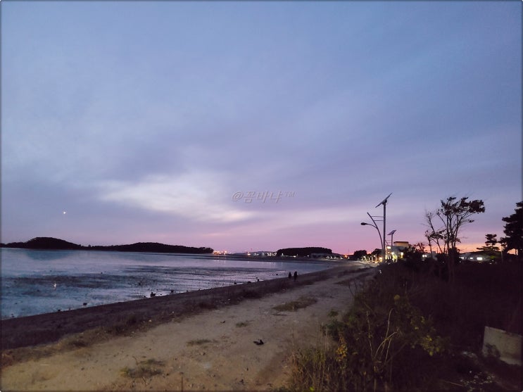  대부도오션뷰캠핑장 대부도 비치캠핑장 A8 (캠핑 NO. 11-24)