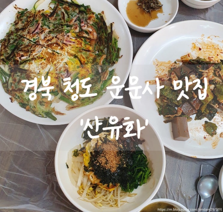  청도 운문사 맛집 비빔밥, 해물파전, 도토리묵이 맛있는 '산유화'