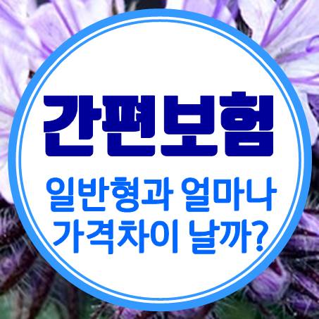  할증이 붙는 간편암보험 가격 얼마나 차이가 나는지 비교해 봤다