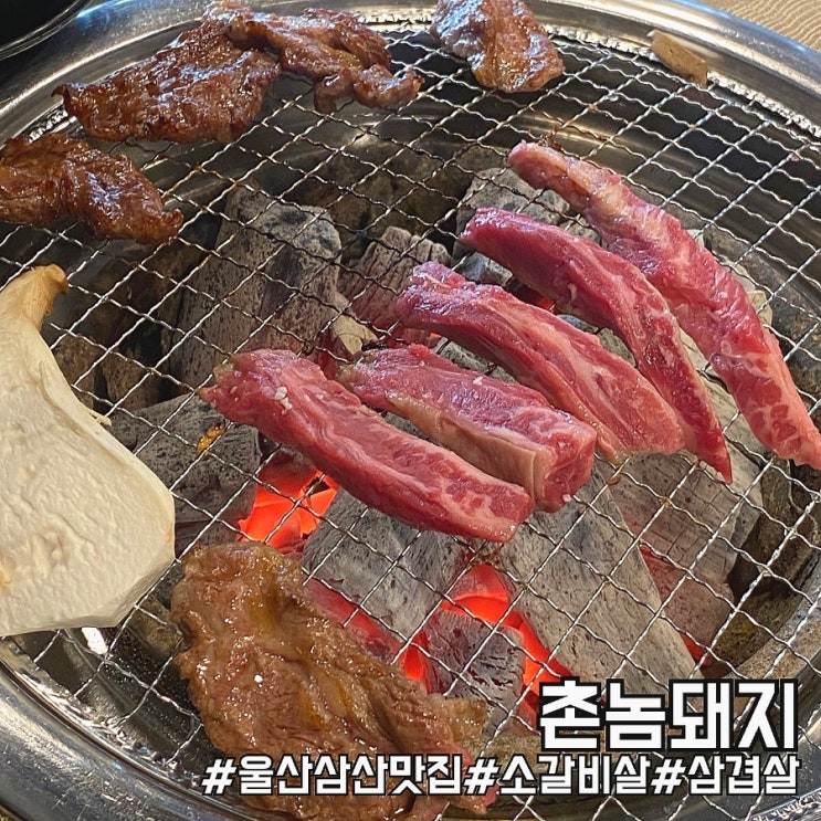  울산 삼산동 고깃집 신선한 소갈비살 맛집 촌놈돼지!
