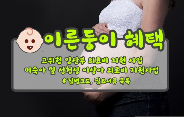  고위험 임산부 의료비 지원 사업, 미숙아 및 선천성 이상아 의료비 지원사업