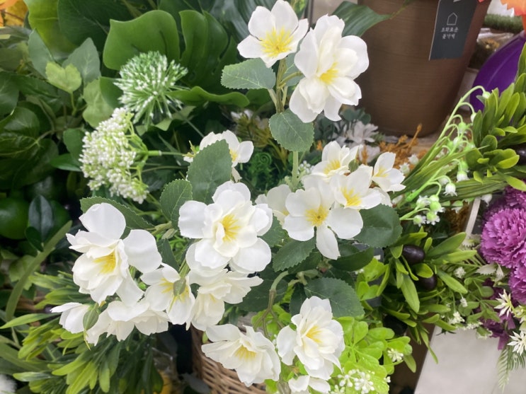  다이소조화 생각보다 다양하네