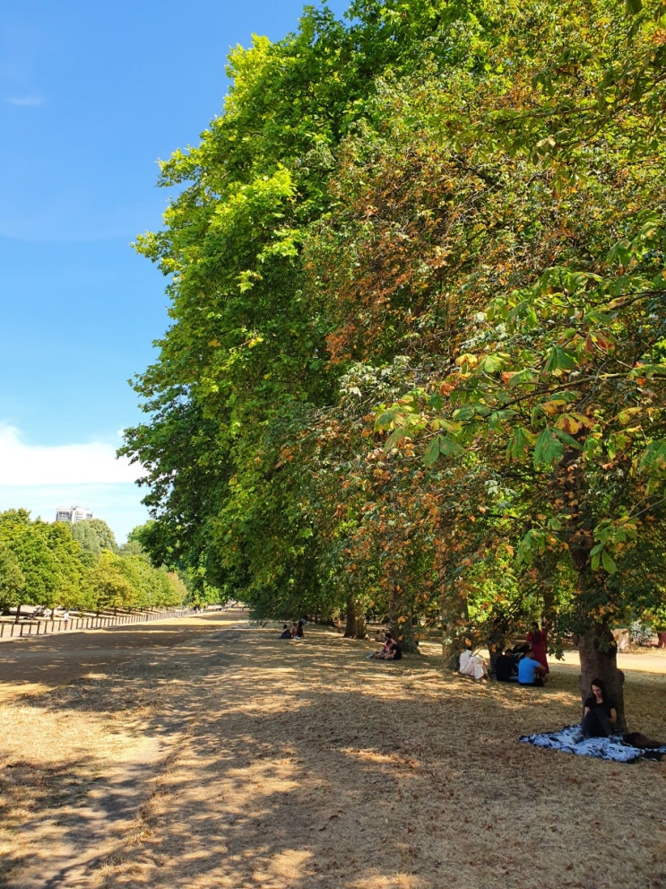 런던 공원 산책 (하이드, 리젠트 파크)