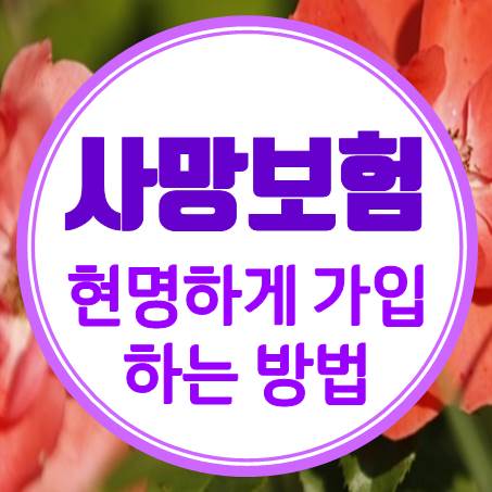  망설여지는 부모님사망보험 최대한 현명하게 가입하려면?