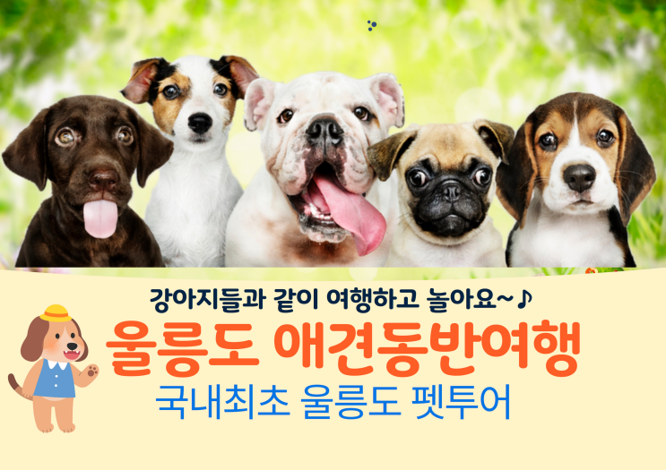  강아지들과 같이 여행하고 놀아요.