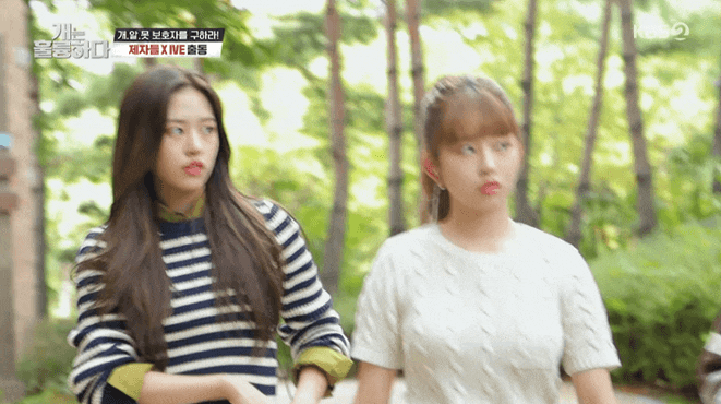  아이브 움짤 104 (개는훌륭하다 안유진&레이 gif / 아이브 누구나캠페인 gif / 레이&이서 KCON JAPAN뉴스 gif / 아이브 에프터라이크 녹음비하인드 gif)