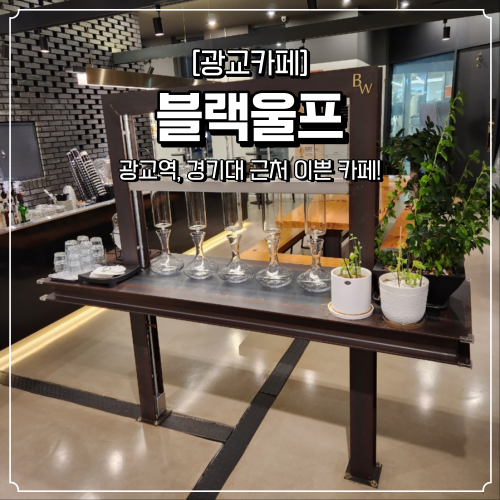  광교역 경기대 카페 블랙울프