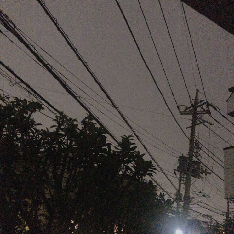  Tokyo diary 05