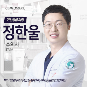 CentumAMC '정한울' 야간응급과장