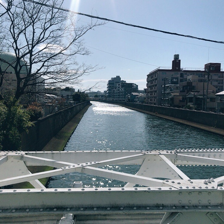  Tokyo diary fin.