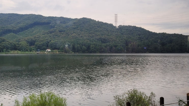  주간일기 18번째  [광명시장, 마둔저수지, 먹거리]