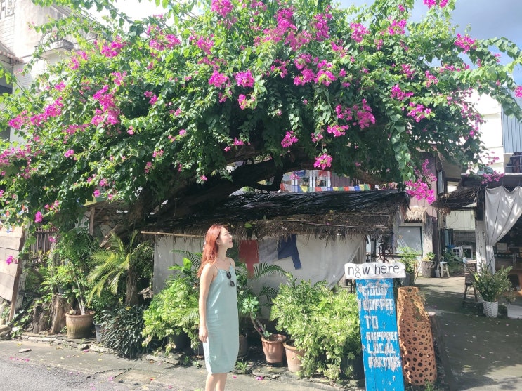  치앙마이 한달살기 6일차 님만해민 마야몰 올드타운 쏘다니고 구제샵에서 옷 득템하기
