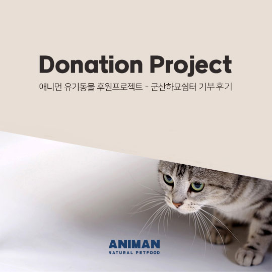  군산하묘쉼터 기부 후기 / 유기묘무료분양