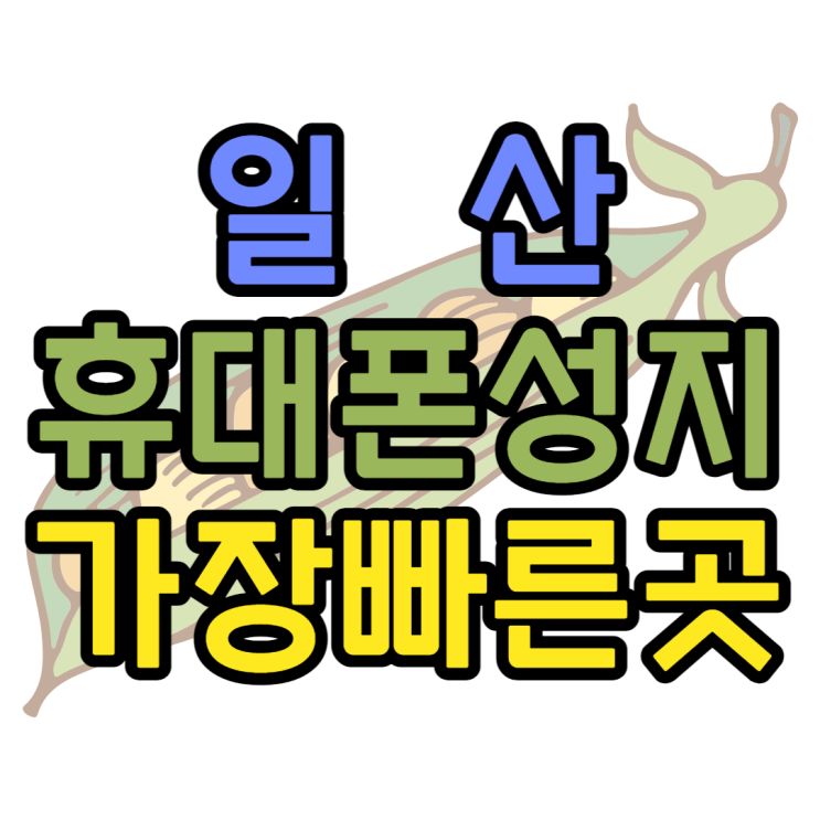 일산 휴대폰 성지 핸드폰개통 가장 빨리 되는 곳 일산 휴대폰 성지 핸드폰개통 가장 빨리 되는 곳