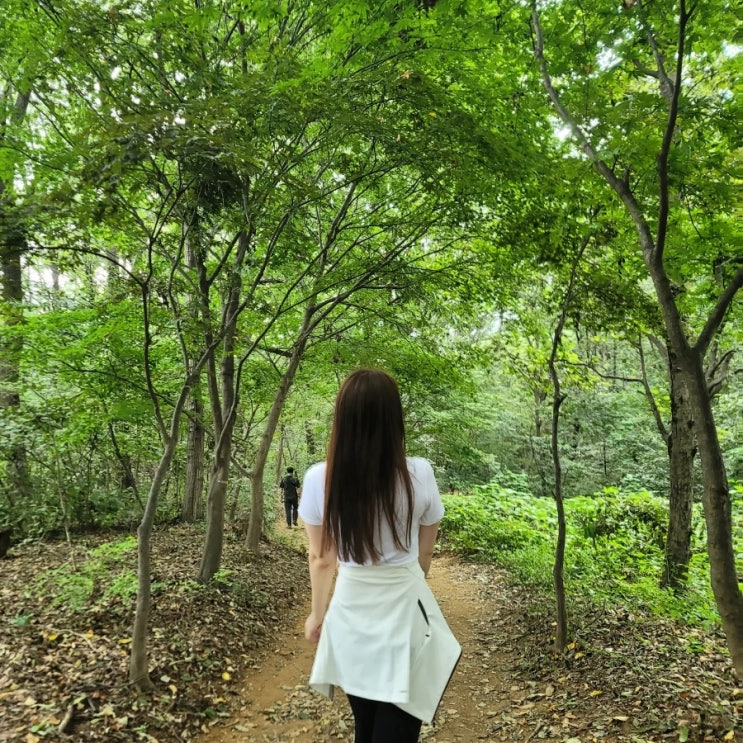  [화성 등산 추천] 화성 봉담 초보자를 위한 등산코스 추천 '서봉산산림욕장' 데이트 후기