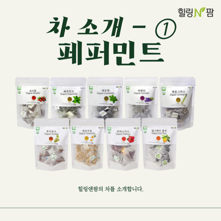  [티백차] 차 소개-페퍼민트, 페퍼민트 효능, 페퍼민트 추천, 페퍼민트란