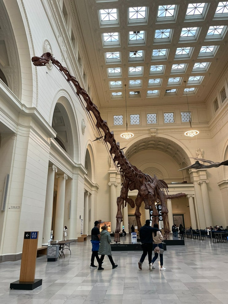  CHICAGO_FIELD MUSEUM 자연사 박물관