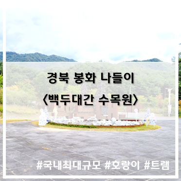 [나들이] '22. 10월 2일 경북 봉화 여행 국립 백두대간 수목원