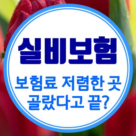  저렴한 가격으로 65세실비보험 가입 조건을 알아보는 것이 끝은 아니다