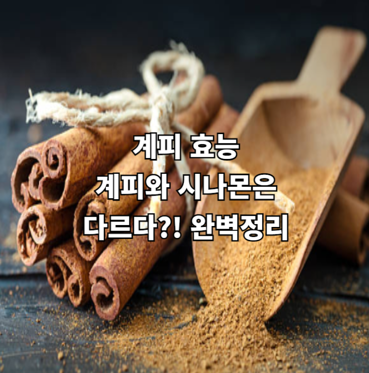  계피와 시나몬은 다르다? 계피 효능 알아보기