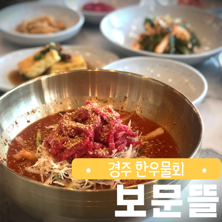 경주 보문뜰 한우물회 점심 먹부림 데이트 경북 여행