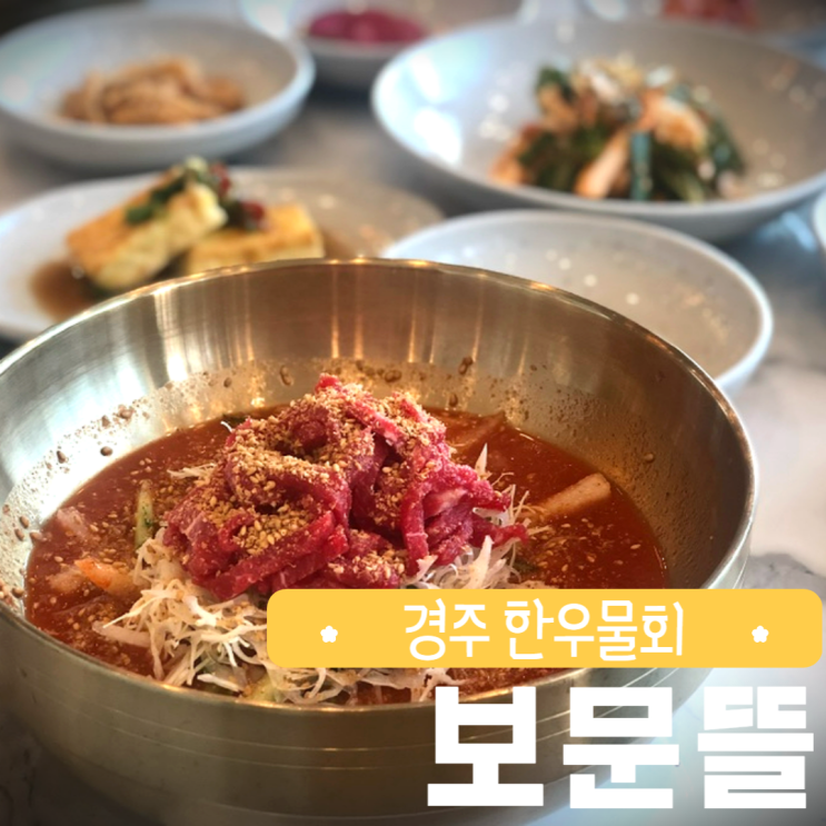  경주 보문뜰 한우물회 점심 먹부림 데이트 경북 여행
