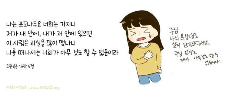 여호와 새일교회 이미지