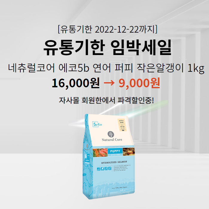 [유통기한 임박세일] 강아지사료 에코5b 연어 퍼피 작은알갱이 1kg