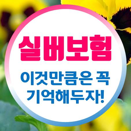  저렴한 가격으로 어르신보험 준비를 하고 싶을 때 살펴봐야 할 점