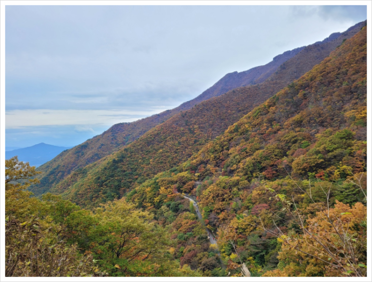  [울산 간월재] 올해 첫 등산 부산에서 영남알프스 간월재로 단풍구경 :: 21.11.15