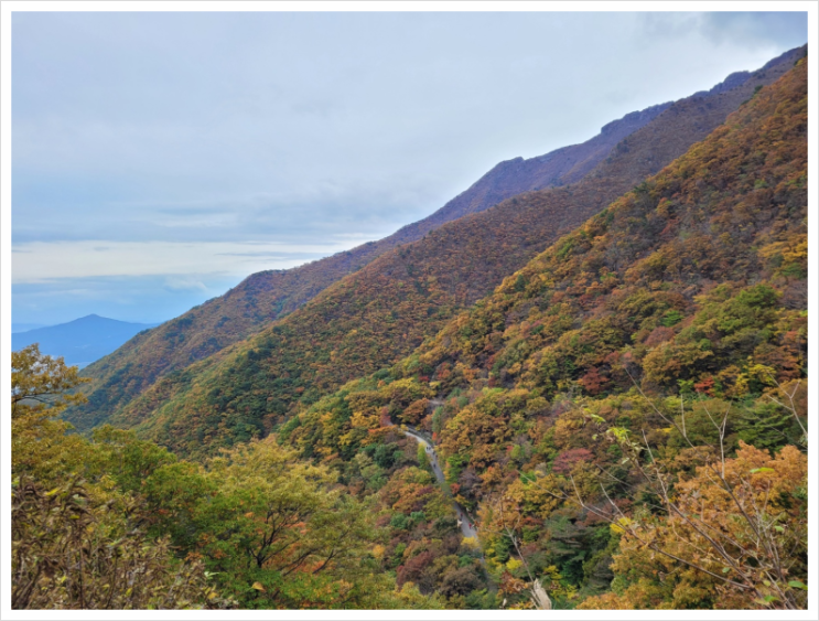 [울산 간월재] 올해 첫 등산 부산에서 영남알프스 간월재로 단풍구경 :: 21.11.15