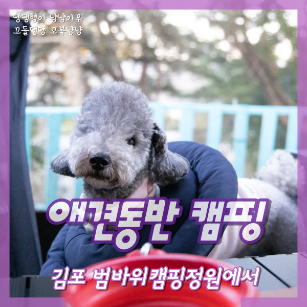  김포 애견동반 캠핑장, 범바위캠핑정원에서 1박2일