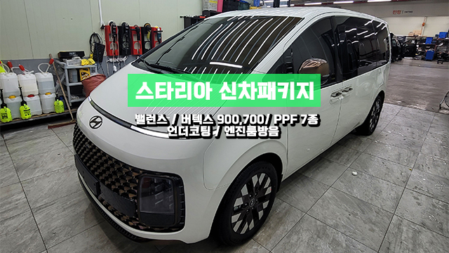  스타리아 버텍스900 700 신차패키지 완벽하게 해야죠!