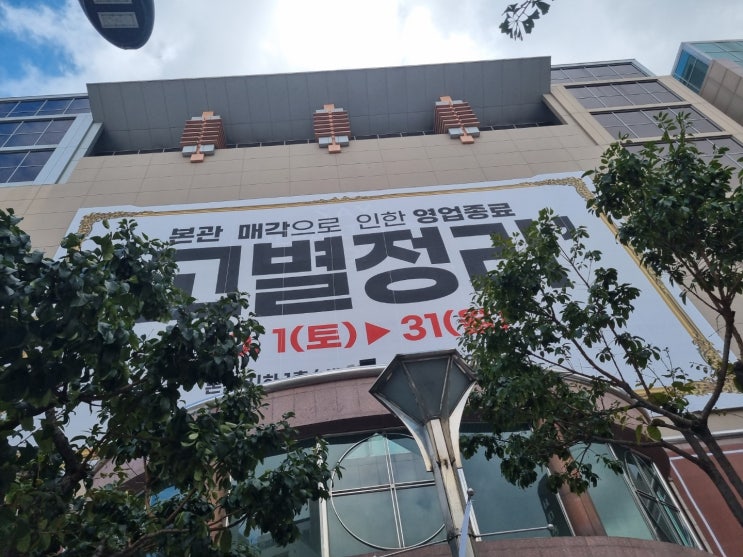  세이 고별전