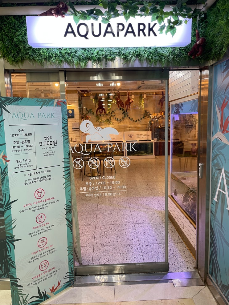  남양주 실내동물원 비오는날 가볼만한곳 아쿠아파크