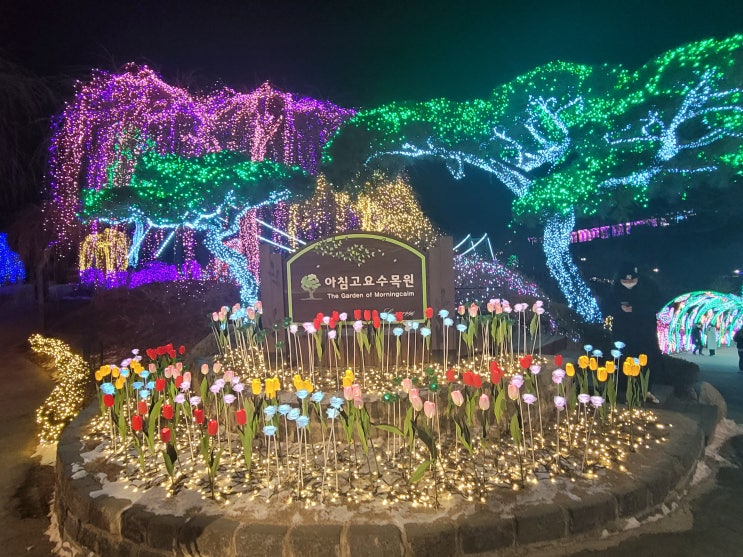  공원조명 경관조명 완성도 높은 전문업체 빛을전하는사람들!!