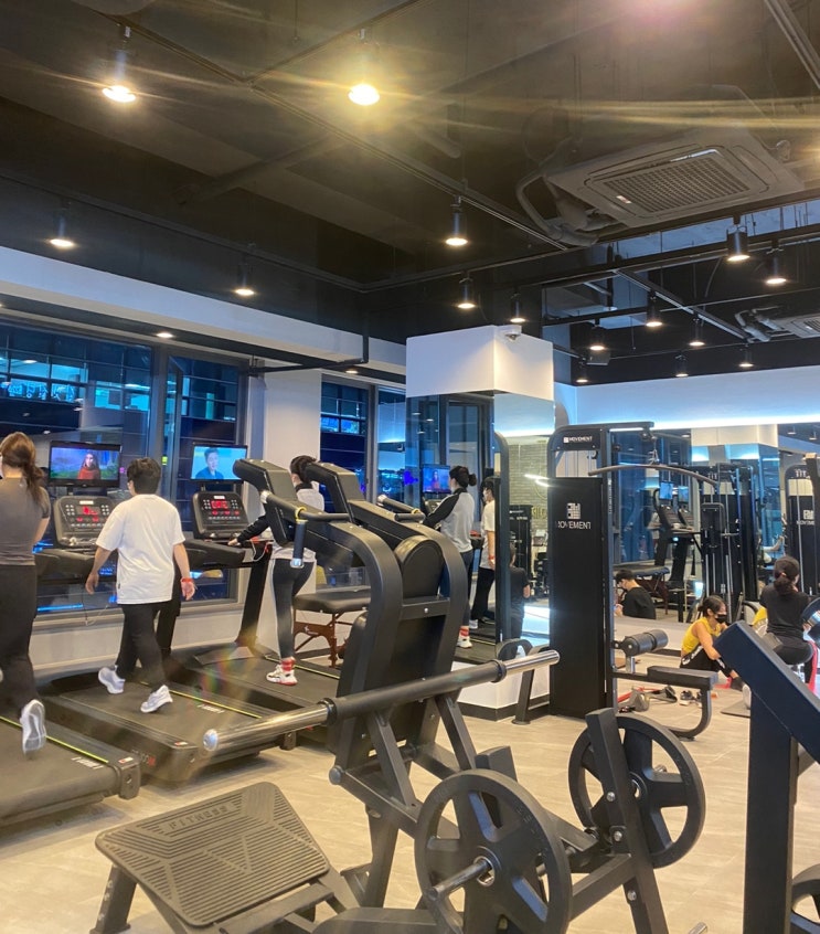  마곡헬스 견갑골(어깨뼈) 궁금하면 클릭!