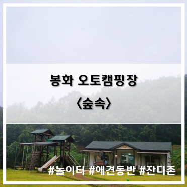  [15th 캠핑] '22. 10월 1일~3일 개천절 연휴 봉화 숲속 오토캠핑장 B존 숲 사이트