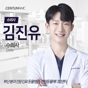  CentumAMC '김진유' 수의사