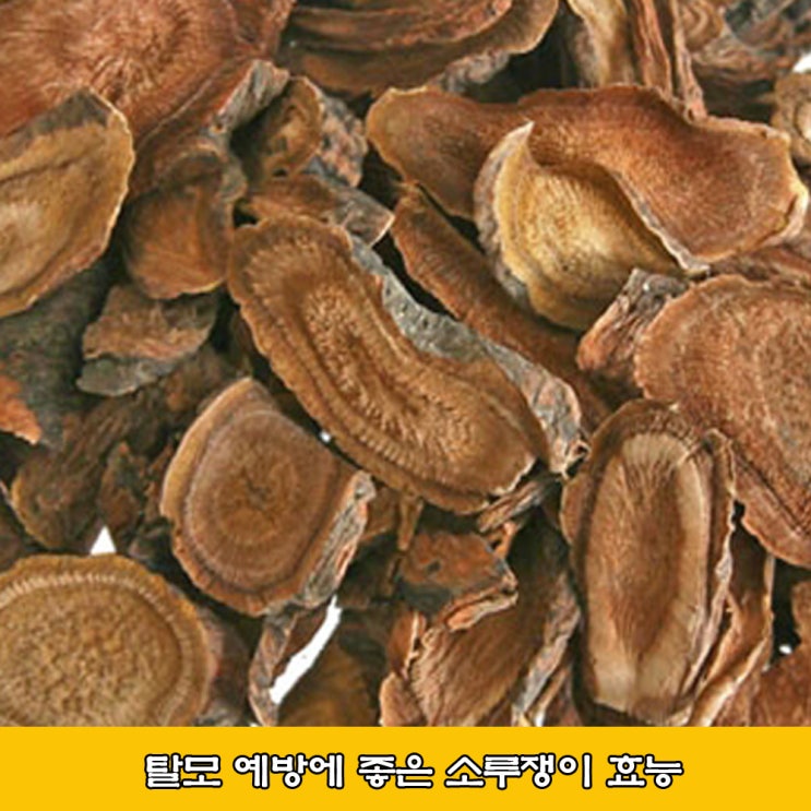  소루쟁이. 소리쟁이, 소루쟁이 효능