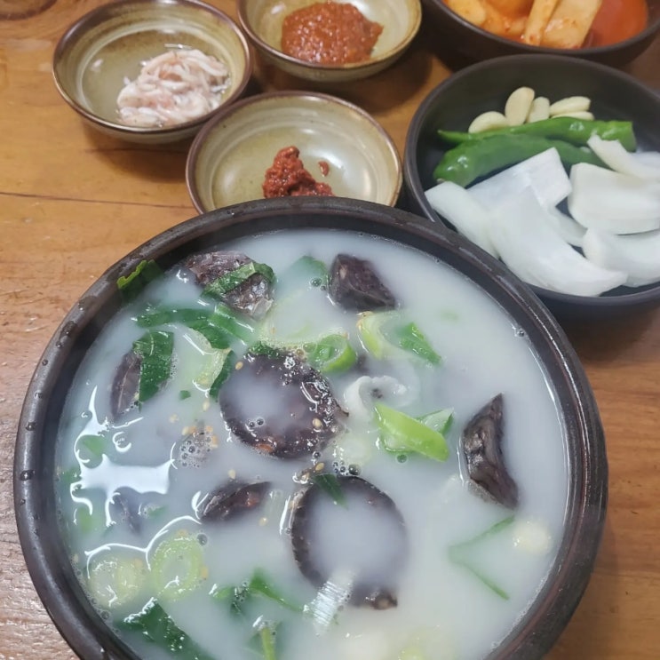  거제 고현시장 맛집 충남식당 해장국 국밥 맛집