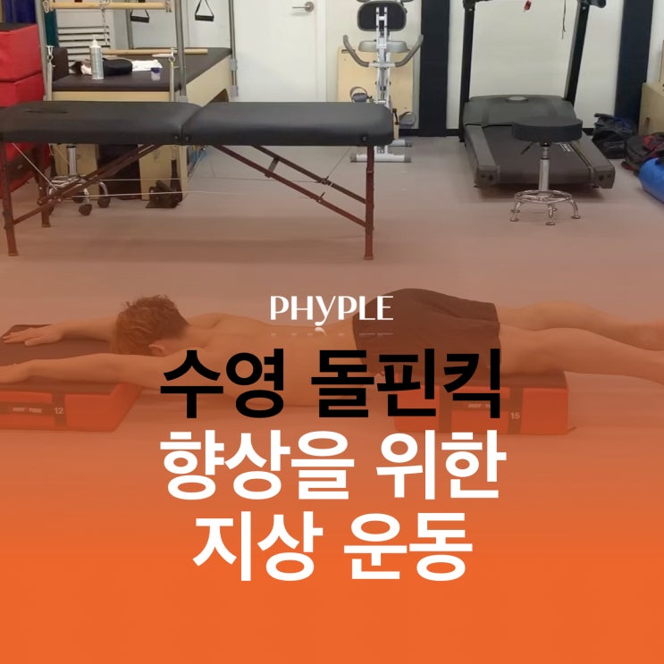 인천 스포츠 재활/ 수영 잠영 돌핀킥 향상을 위한 지상 운동 인천 스포츠 재활/ 수영 잠영 돌핀킥 향상을 위한 지상 운동