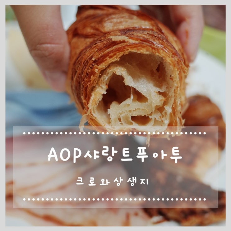  AOP샤랑트푸아투 크로와상생지