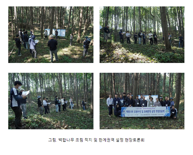 백합나무 적지적수를 통한 산림의 탄소 흡수 기능 강화(국립산림과학원, 백합나무 조림 적지 및 한계 권역 설정을 위한 현장토론회 개최)_산림청 백합나무 적지적수를 통한 산림의 탄소 흡수 기능 강화(국립산림과학원, 백합나무 조림 적지 및 한계 권역 설정을 위한 현장토론회 개최)_산림청